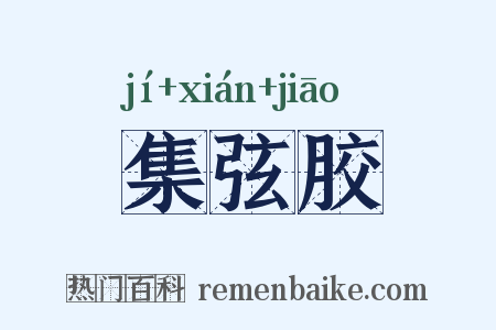 集弦胶是什么意思的图片